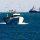 Lessons learnt - Contact with fishing boat