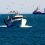 Lessons learnt - Contact with fishing boat